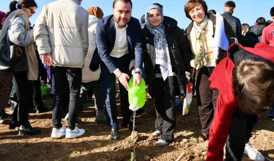 Balıkesir Büyükşehir Belediyesi, İvrindi