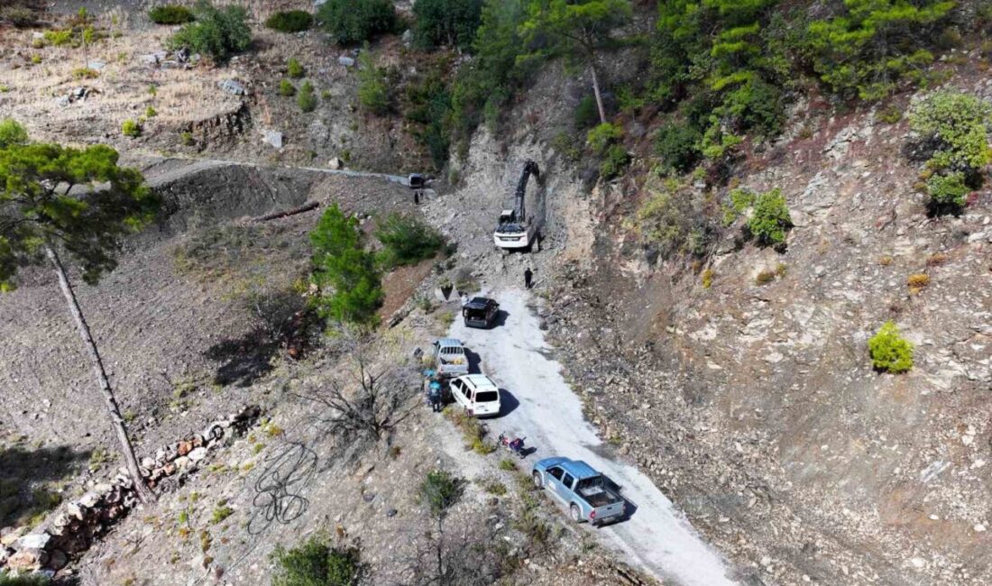 Alanya’da geçen kış döneminde