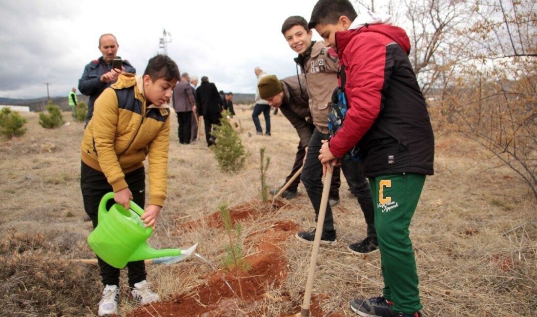 Konya’nın Beyşehir ilçesinde 24