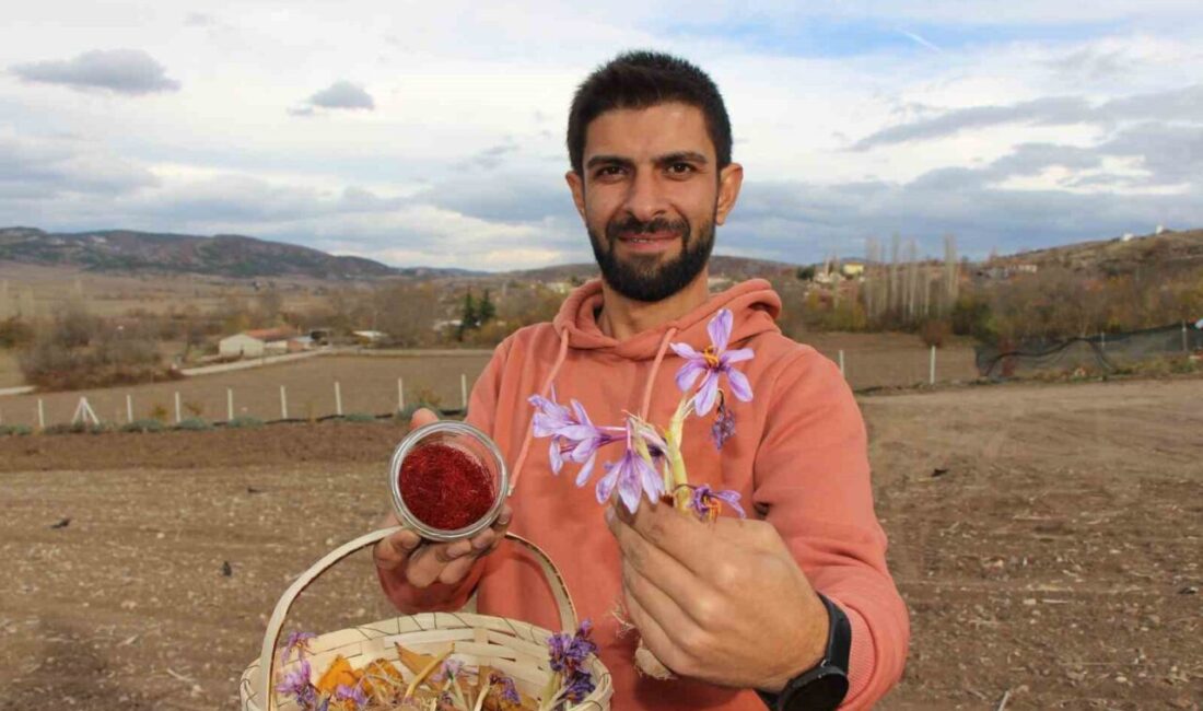 Amasya’da beş yıl önce