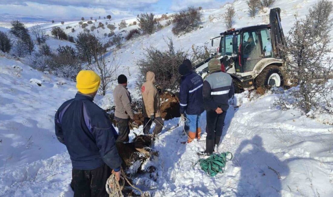 Ankara’da etkili olan kar