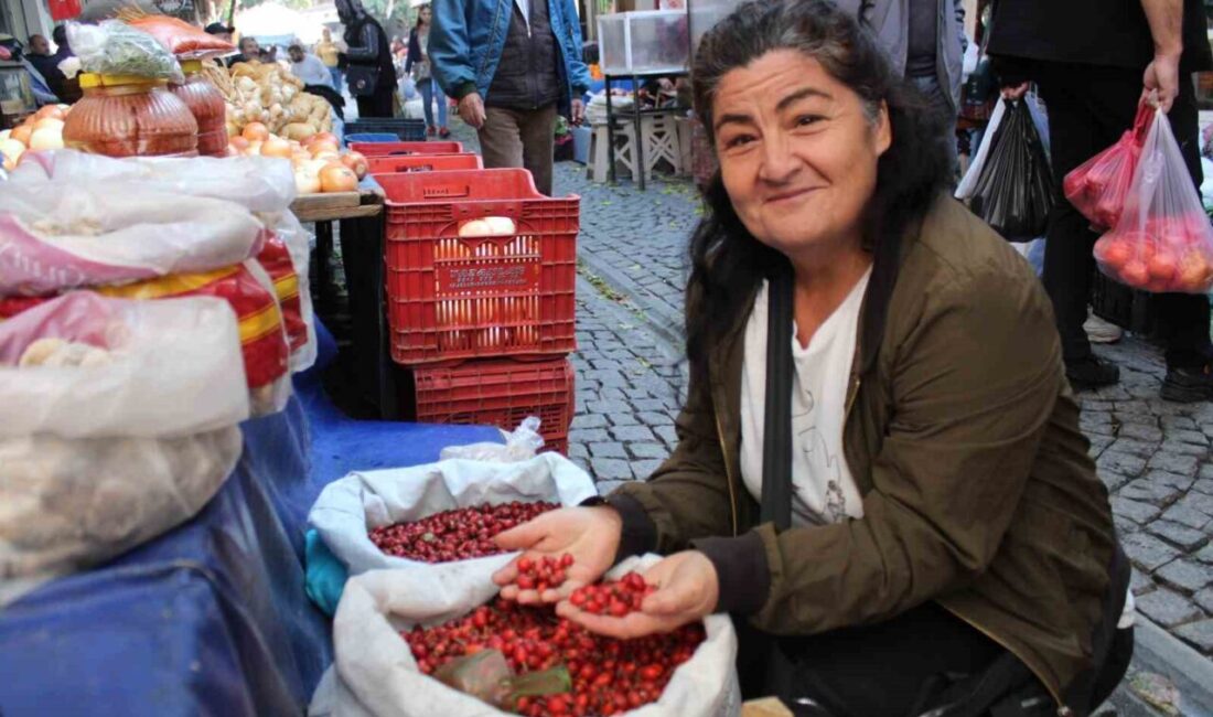 Aydın’ın dağlarından bin bir