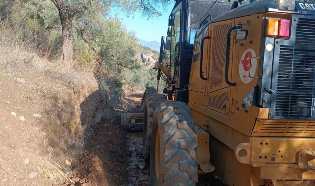 Efeler Belediye Başkanı Anıl