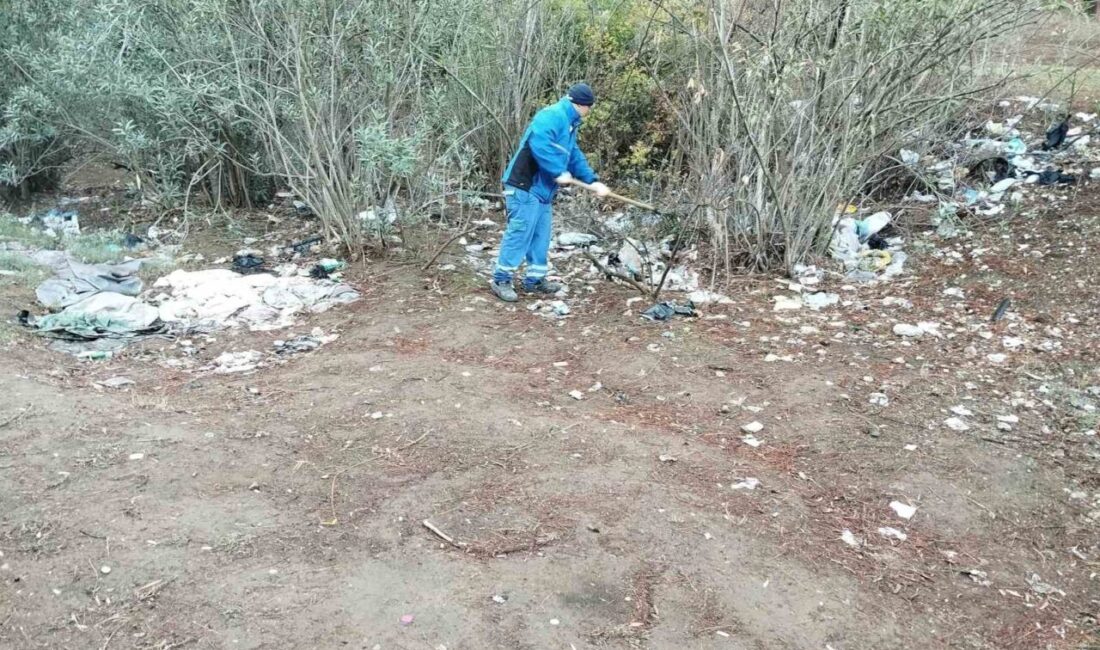 Fethiye’nin Çırpı Mevkii’ndeki mesire