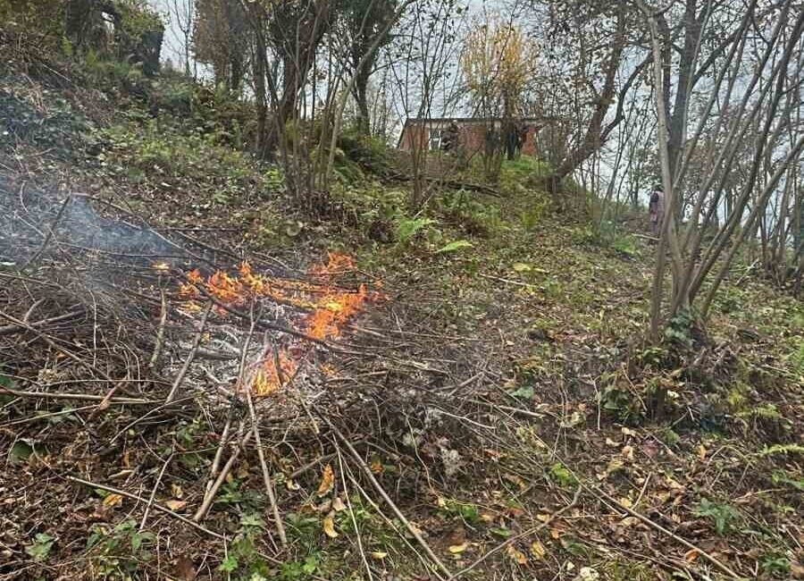 Zonguldak’ta fındık bahçesinde yakılan