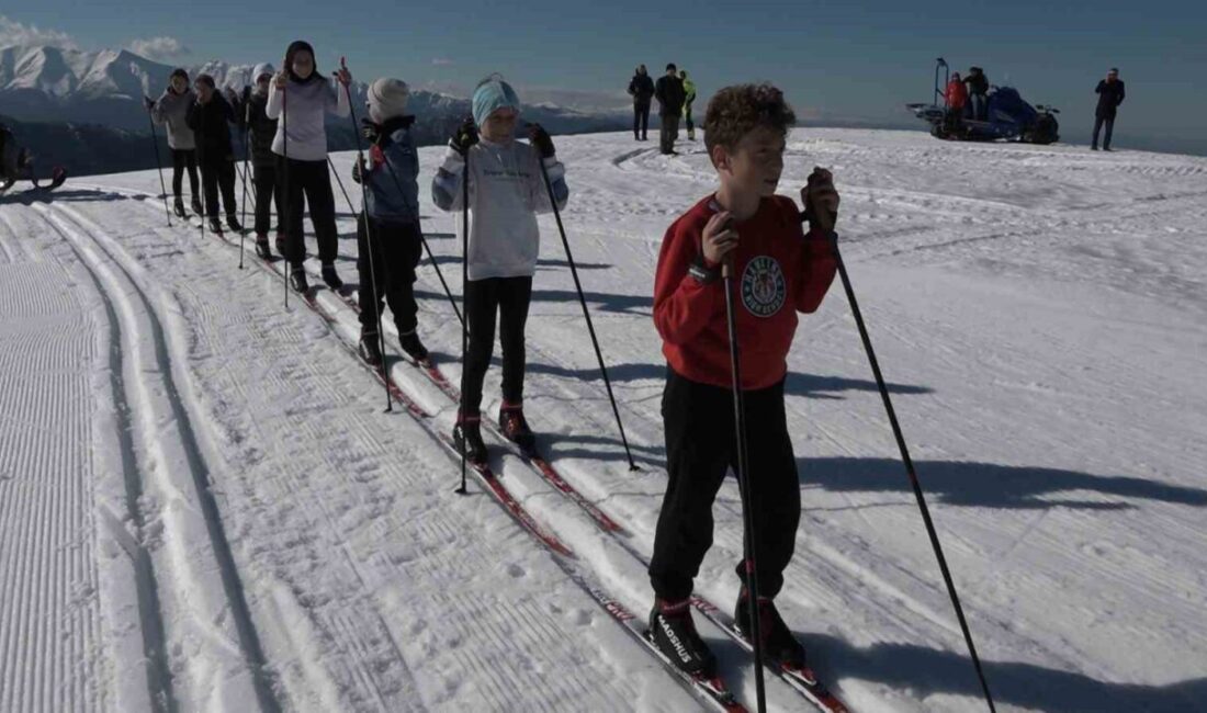 Rize’nin Güneysu ilçesinde bin