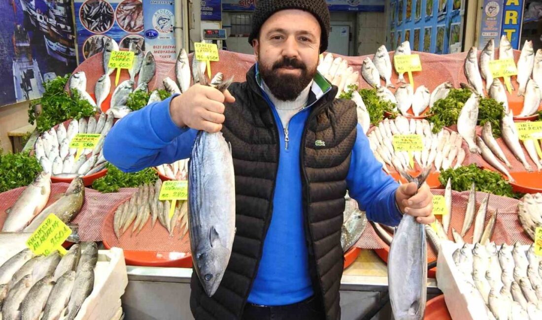 Gaziantep’te havaların soğumasıyla balığa