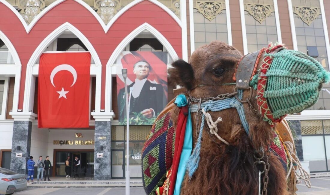 Aydın’ın Koçarlı ilçesinde 1