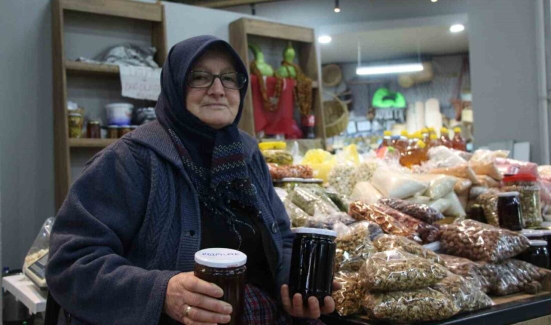 Bolu’nun Köroğlu Dağları’ndan toplanan