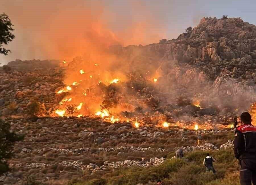 Muğla’nın Marmaris ilçesinde sarp