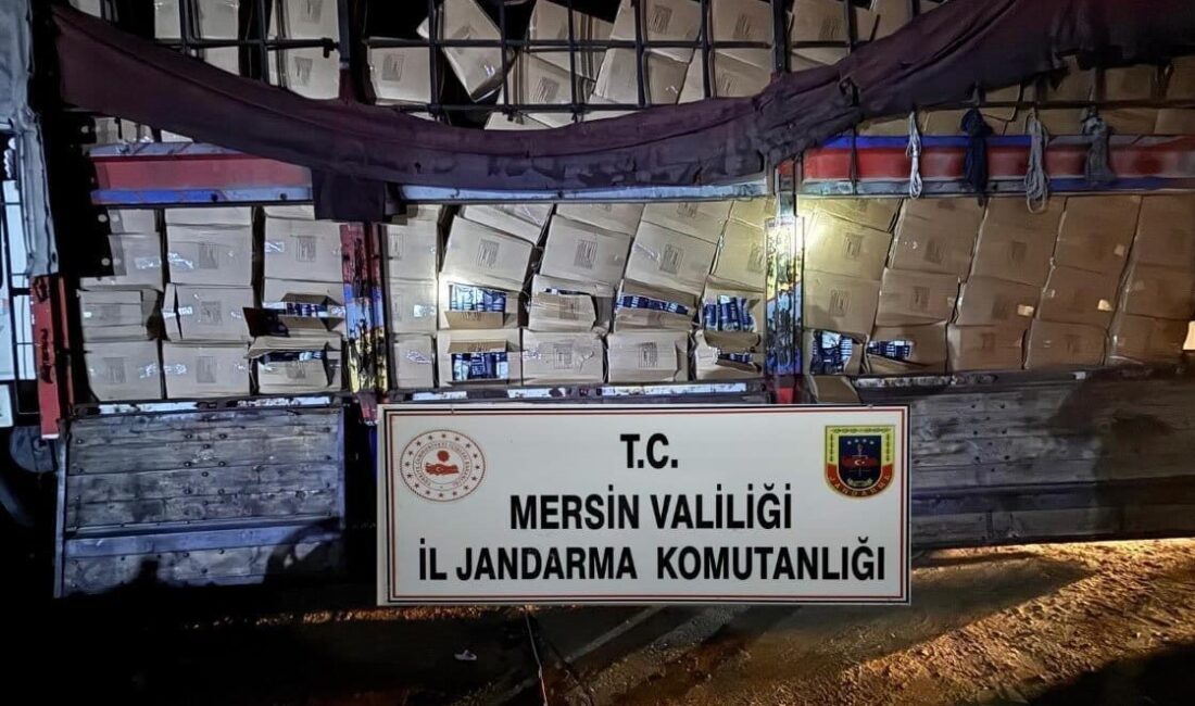 Mersin’de jandarma ekiplerinin yaptığı