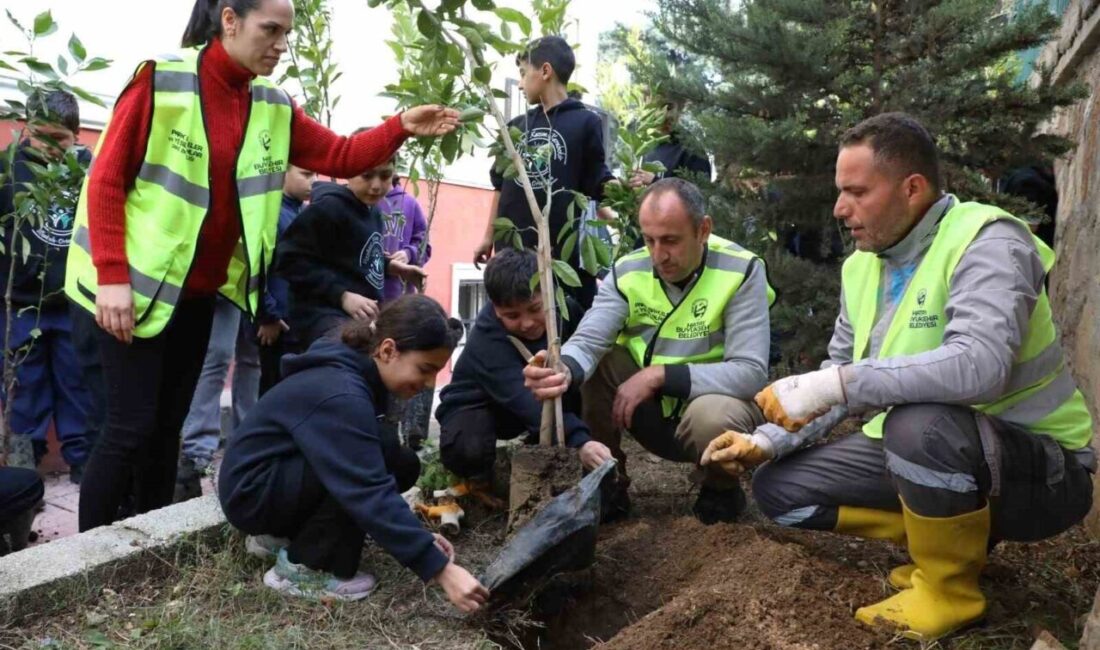 Hatay’da büyükşehir belediyesi tarafından