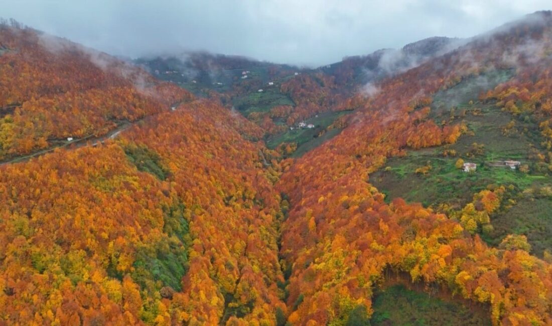 Samsun’un yüksek kesimlerinde sarı,