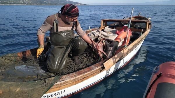 Aydın’ın Söke ilçesi sınırları