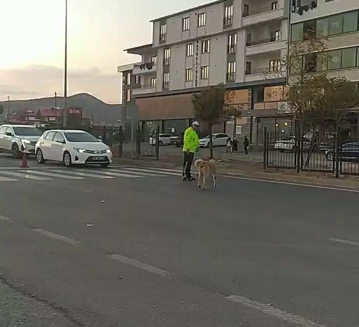 Bingöl’de trafik polisi, yolun