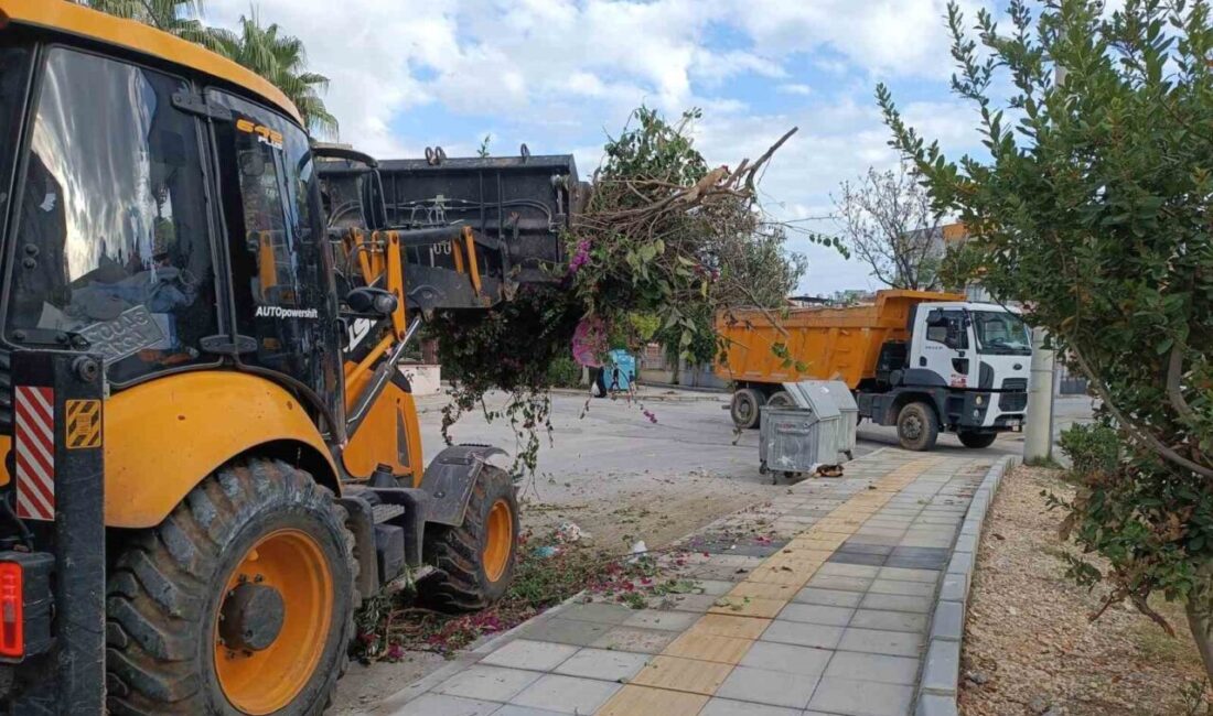 Mersin’in merkez ilçe Yenişehir