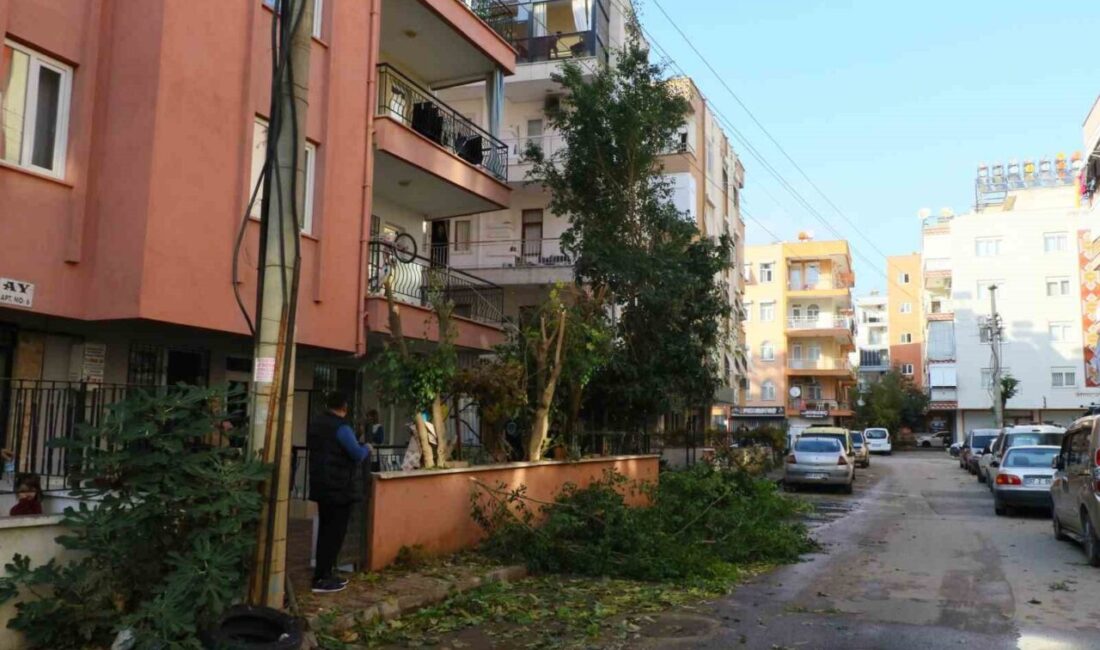 Antalya’da apartmanın bahçesinde bulunan