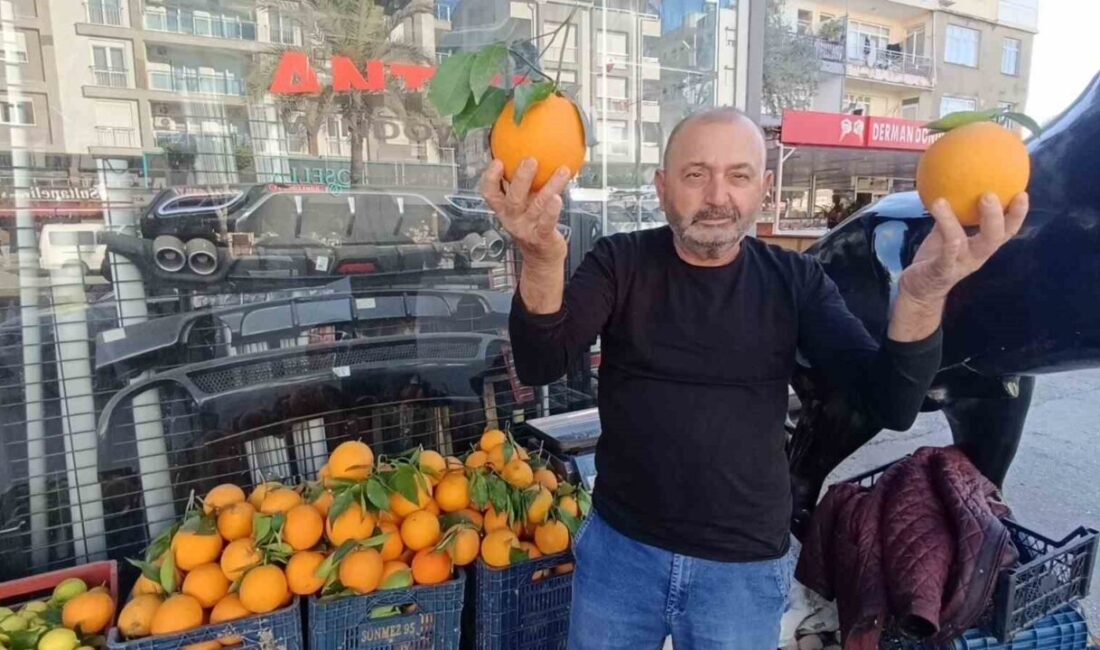 Antalya’nın Manavgat ilçesinde tanesi