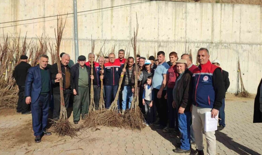 Aydın’da tarımsal üretimin artırılması