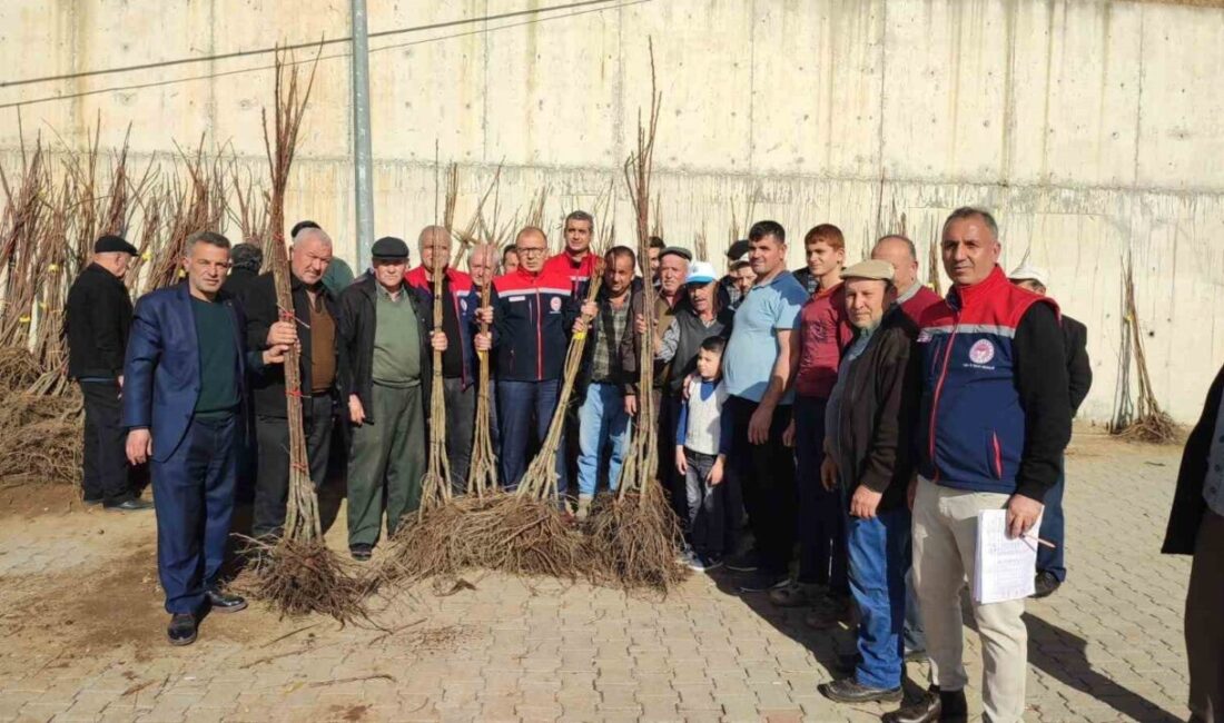 Aydın’da bitkisel üretime destek