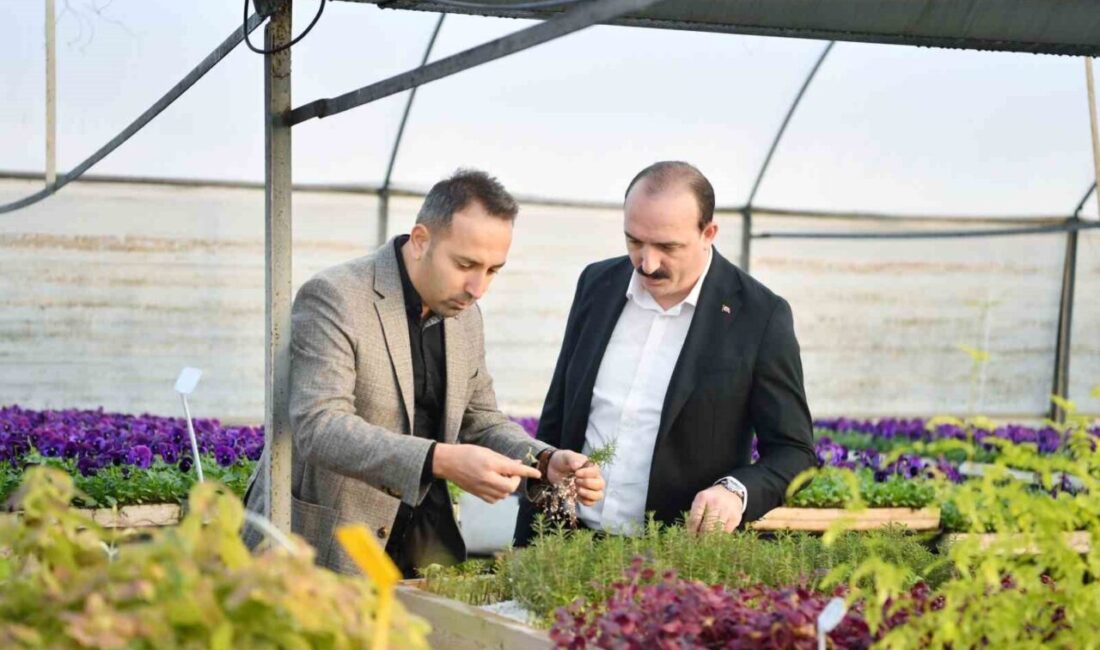 Konyaaltı Belediye Başkanı Cem