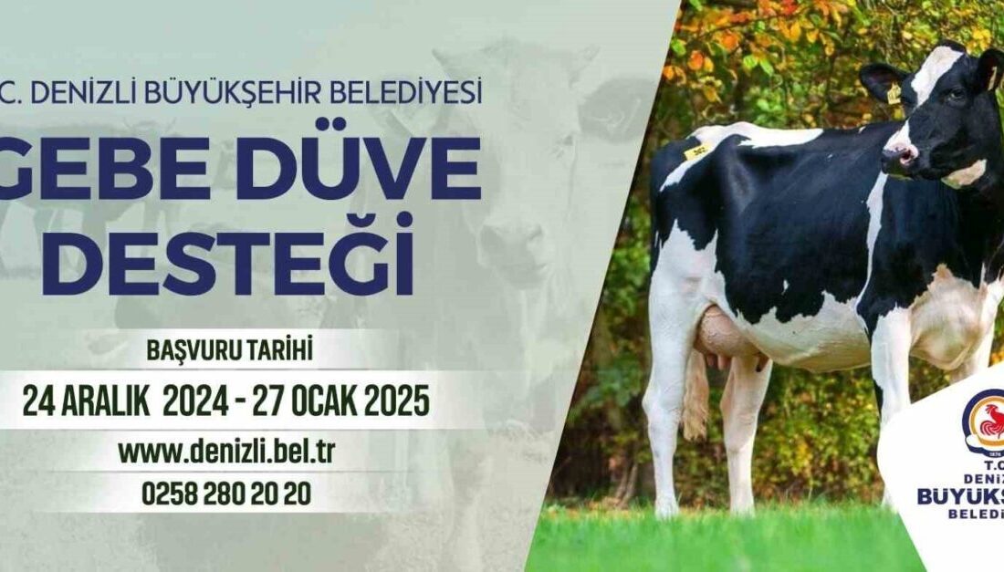 Denizli Büyükşehir Belediyesi, kent