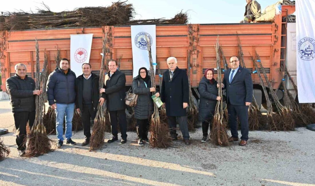 Türkiye’nin ceviz bahçesi olan