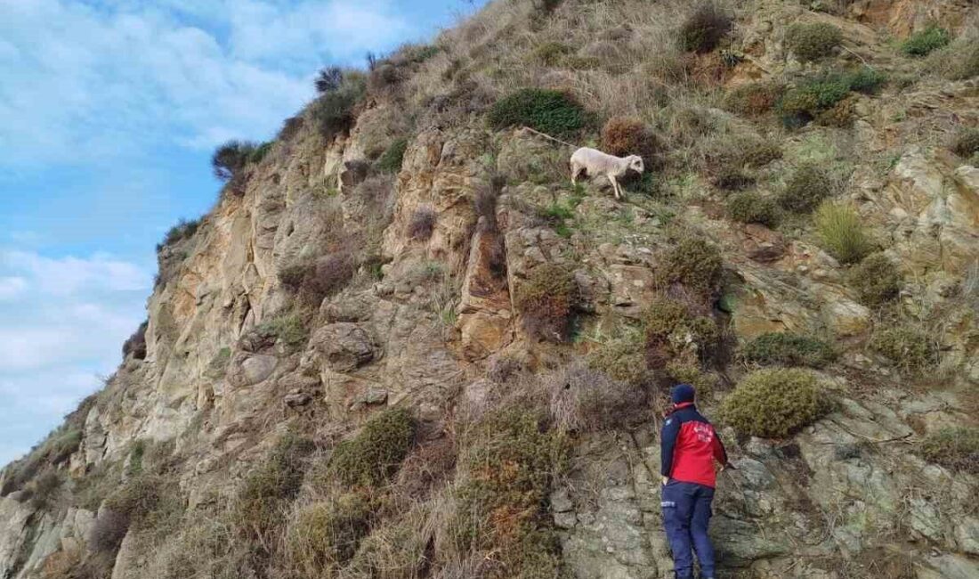 Balıkesir’de kayalıklarda mahsur kalan