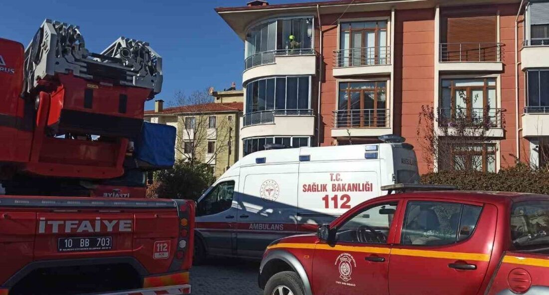 Balıkesir’in Edremit ilçesinde çıkan