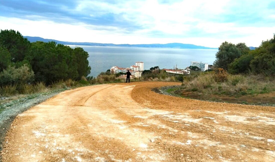 Bursa’nın Gemlik ilçesinde 35