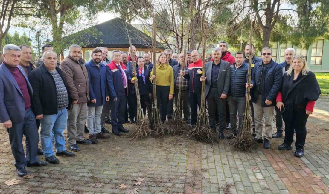 Aydın’ın Nazilli ilçesinde Nazilli