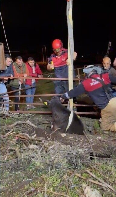 İzmir Büyükşehir Belediyesine bağlı