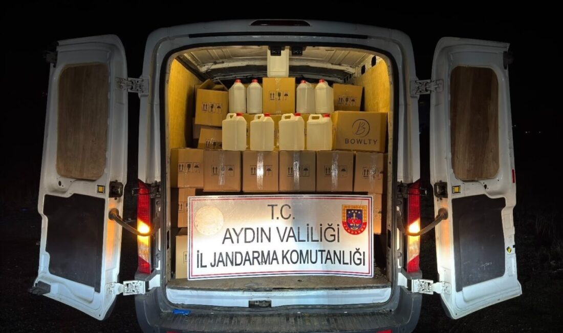 Aydın’ın Germencik ilçesinde jandarma