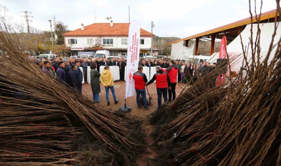 Muğla İl Tarım ve