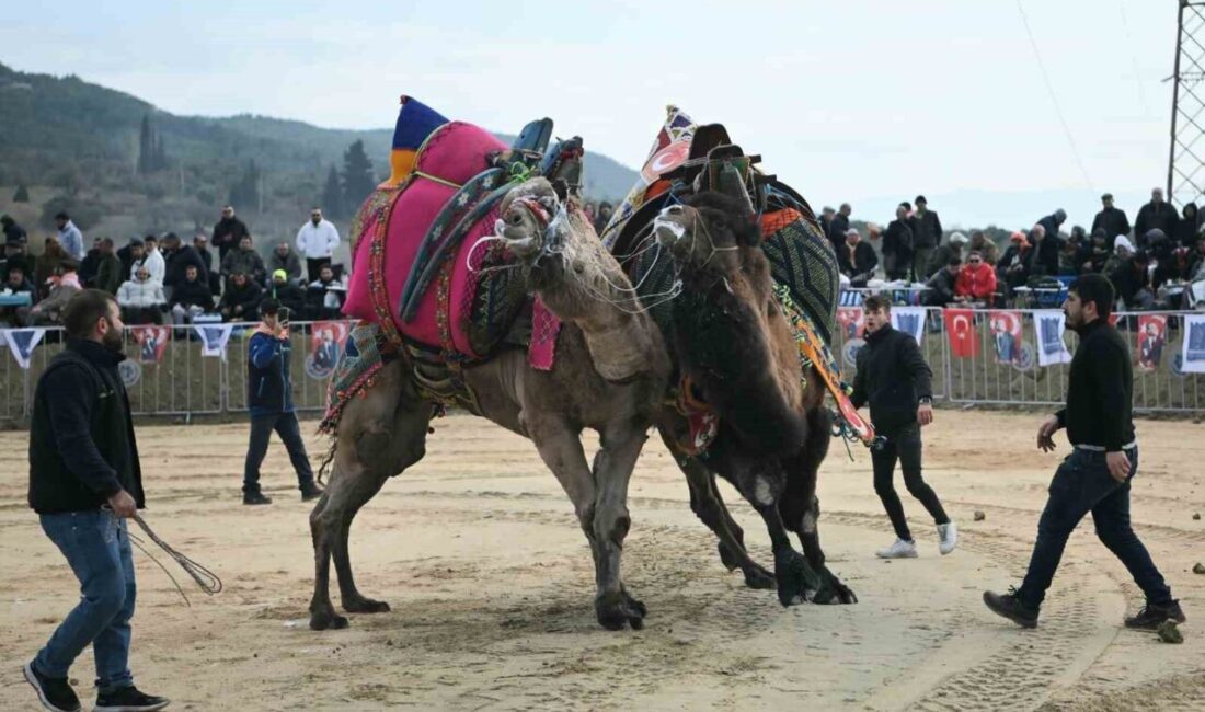 Aydın’ın Kuşadası ilçesinde 6