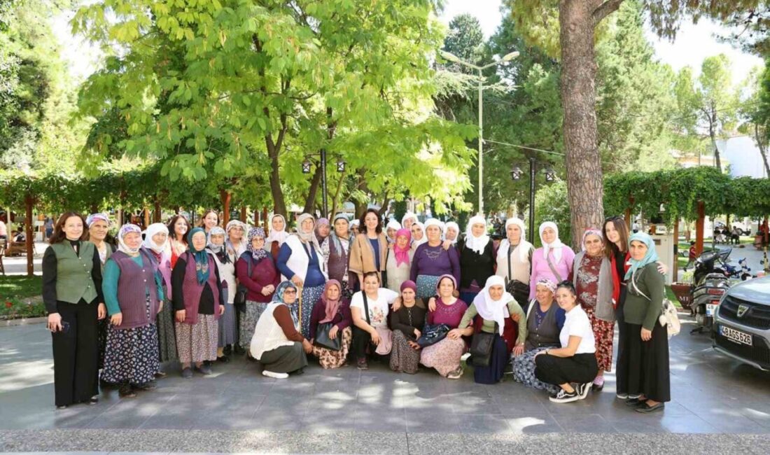 Menteşe Belediyesi, sağlık ve