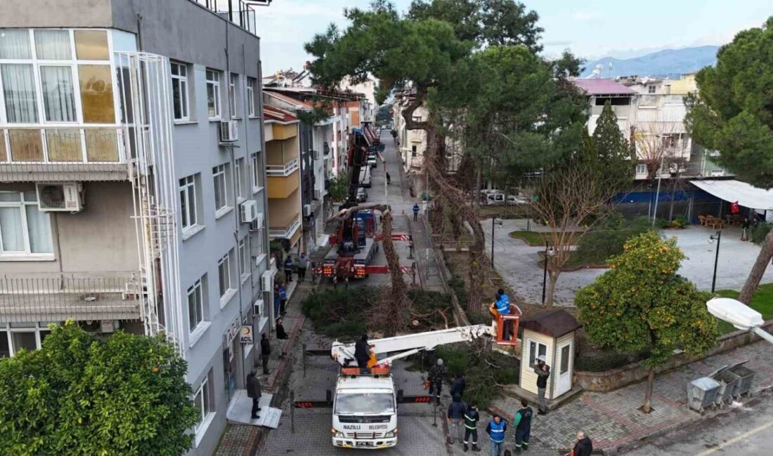 Nazilli Belediyesi Park ve