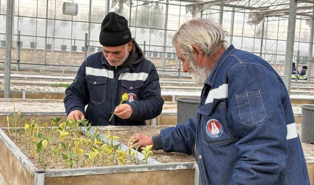 Mevsimine göre farklılık gösteren