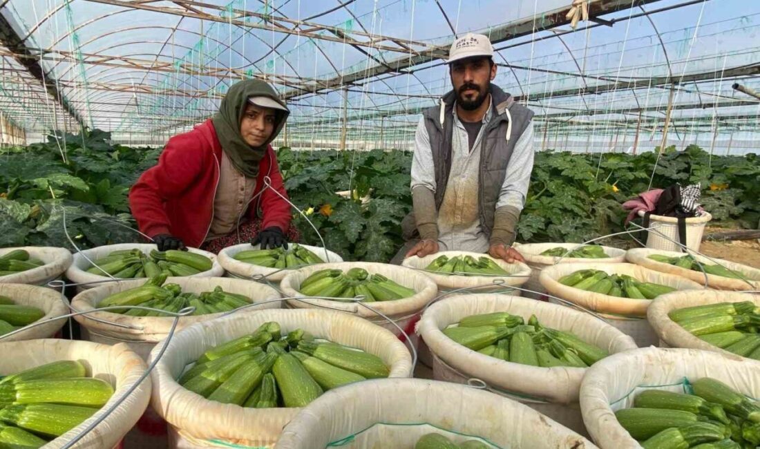 Halep’ten 2012 yılında kaçıp