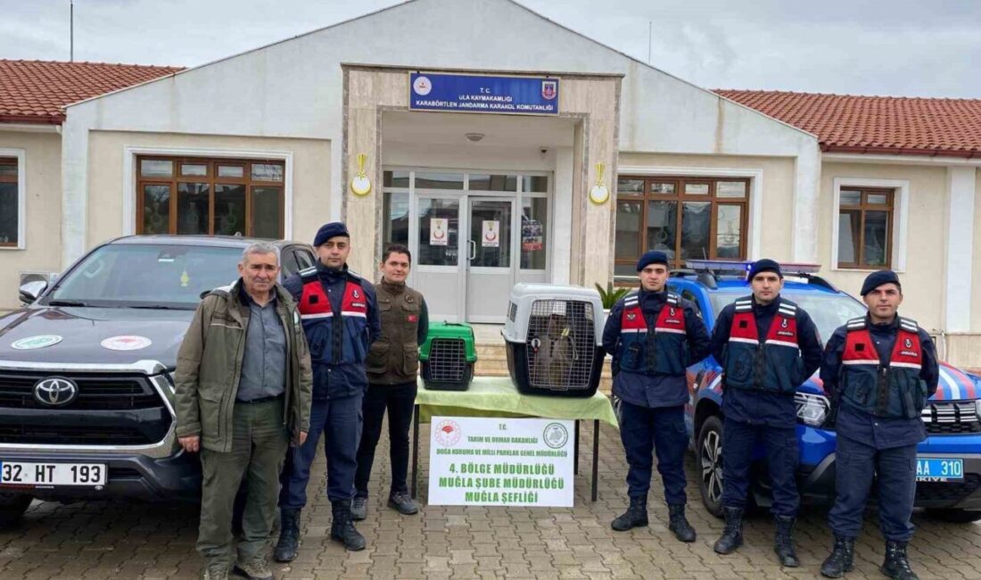 Muğla’nın Ula ilçesinde jandarma