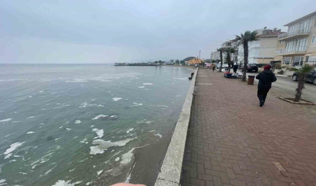 Bandırma Onyedi Eylül Üniversitesi