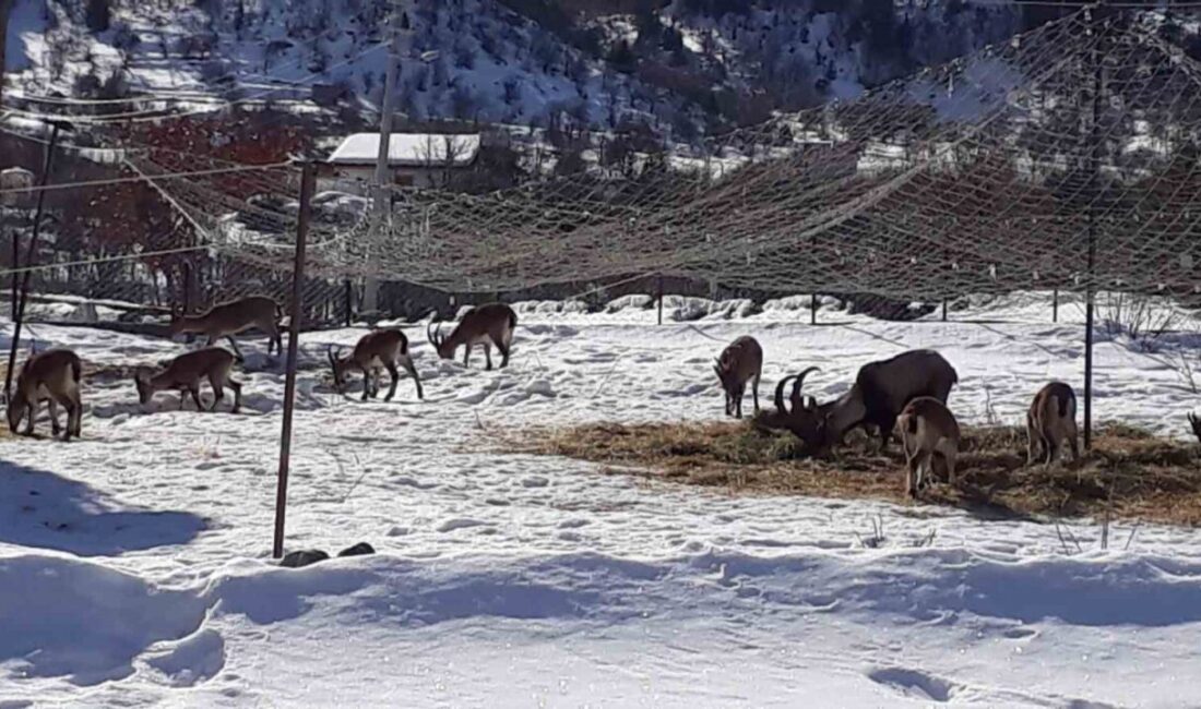 Antalya’nın Akseki ilçesi Gidengelmez