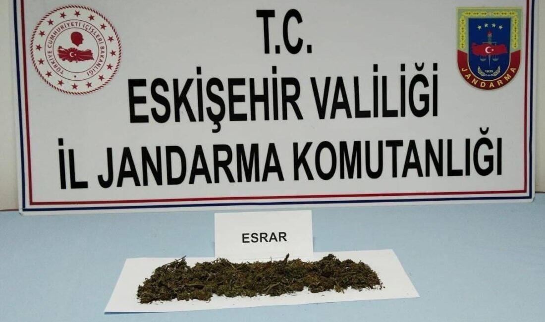 Eskişehir’de jandarma ekiplerinin çalışmaları