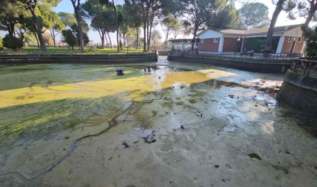 Aydın Büyükşehir Belediyesi Park