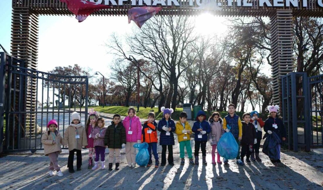 Beylikdüzü Belediyesi, ilçe genelindeki