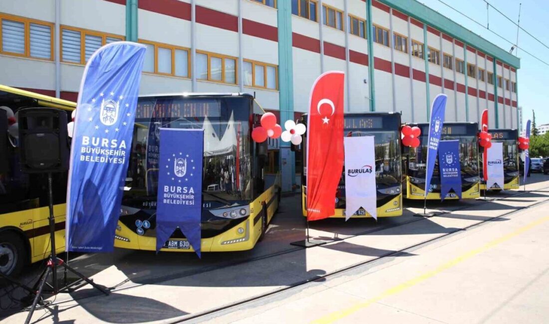 Bursa Büyükşehir Belediyesi, ulaşım