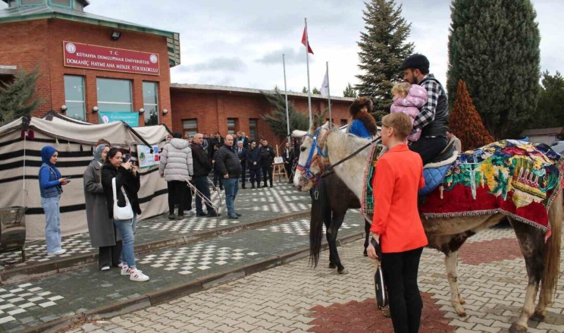 Kütahya Dumlupınar Üniversitesi Domaniç