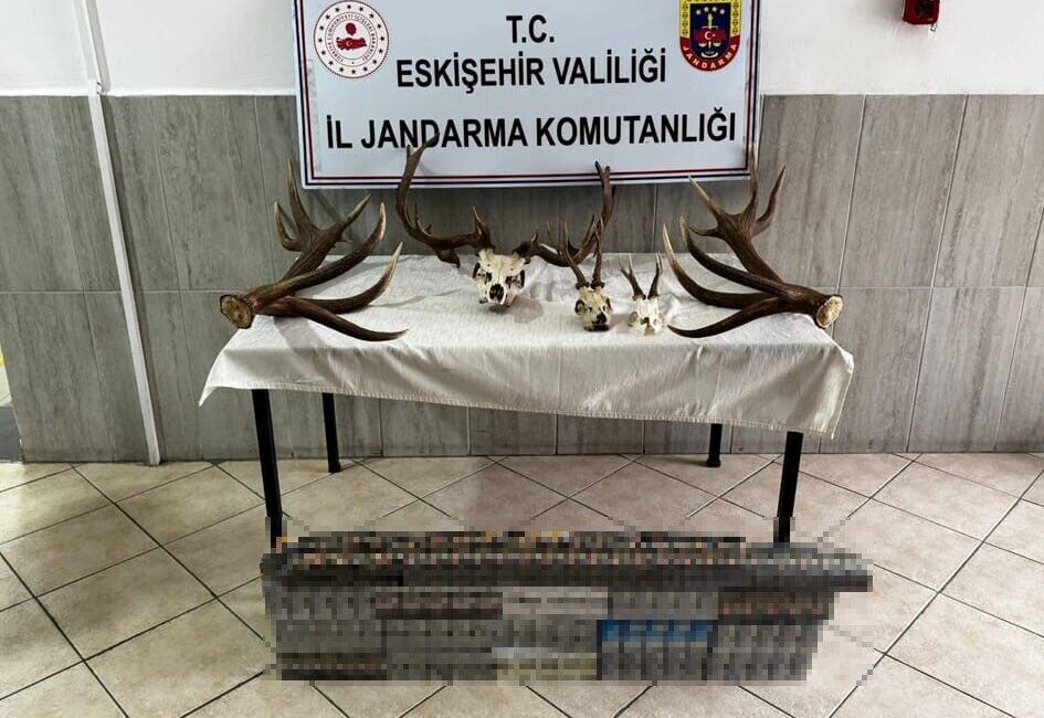 Eskişehir’de jandarma ekiplerince kaçak