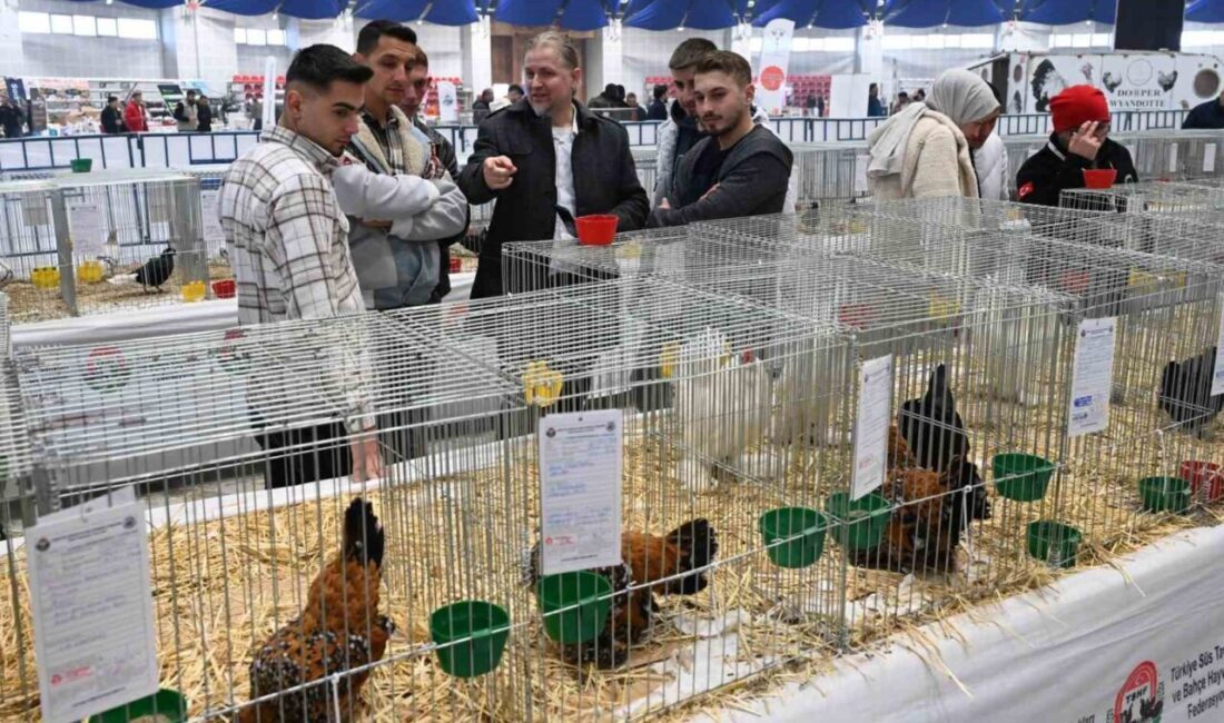 Isparta Belediyesi’nin katkılarıyla Türkiye