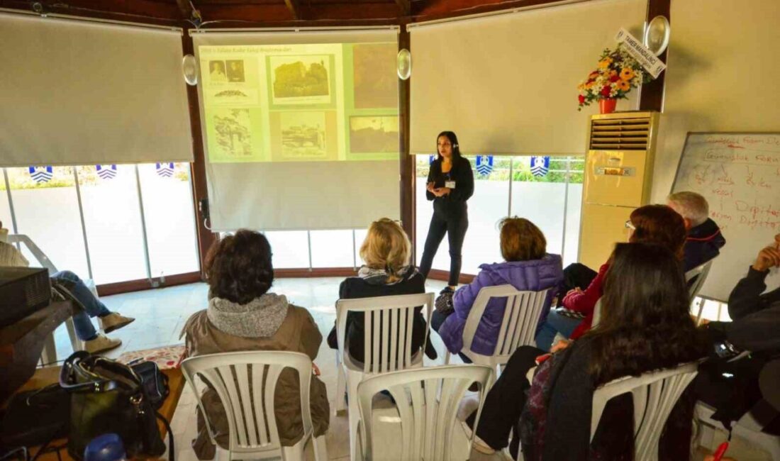 Bodrum Belediyesi tarafından Gümüşlük